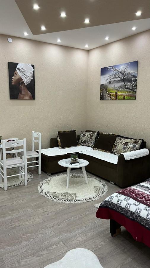 Apartment Downtown Podgorica Buitenkant foto