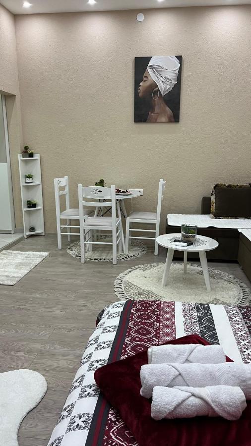 Apartment Downtown Podgorica Buitenkant foto